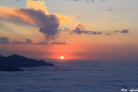 海 水 海洋 地平線 写真