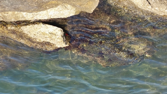 Water rock river stream Photo