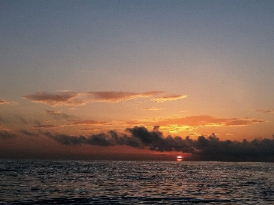 海 水 海洋 地平線 写真