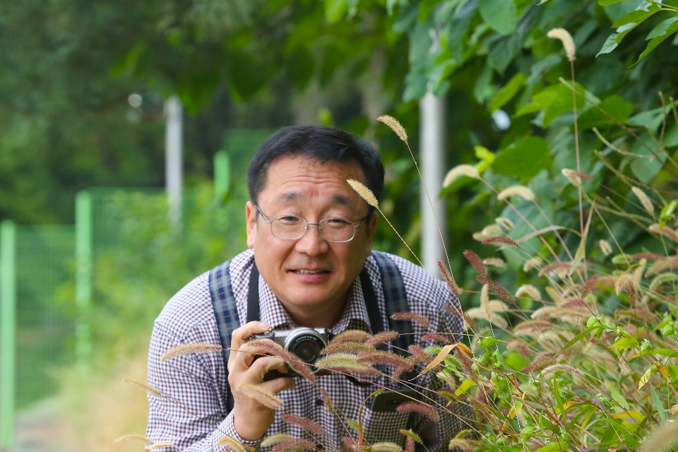 Man plant vertebrate tree