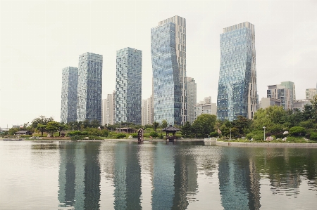 Tree water sky skyline Photo