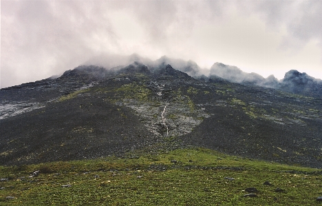 Landscape tree grass wilderness Photo