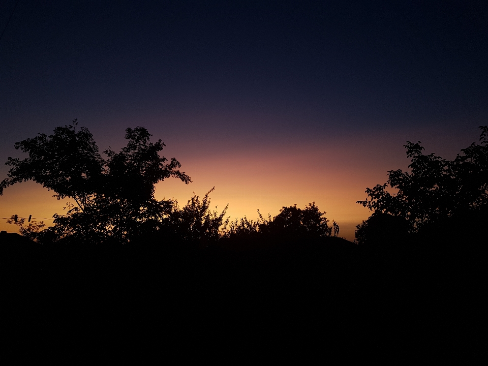 Landschaft baum natur horizont