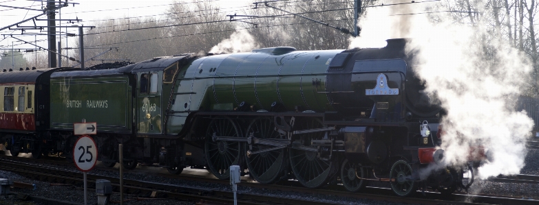 Track steam train transport Photo