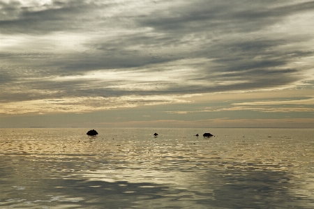 Landscape sea coast water Photo