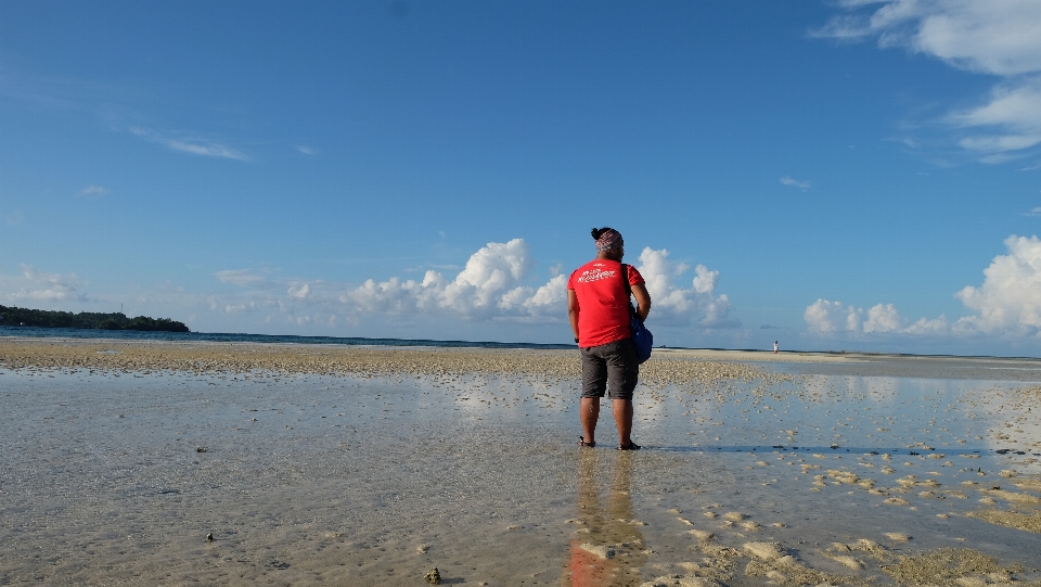 Pantai laut pesisir air