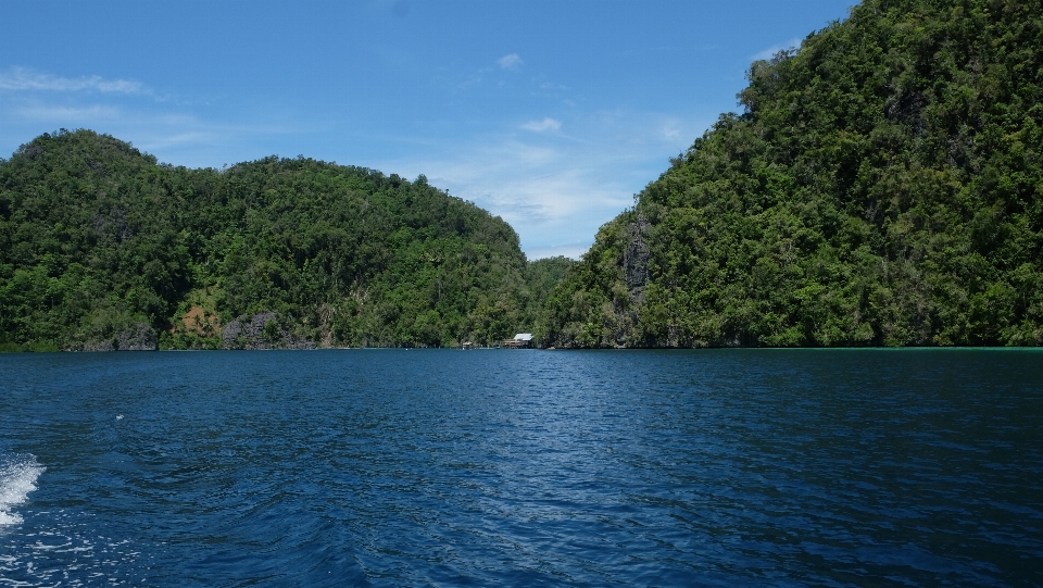 Meer wasser wasserweg
 natur