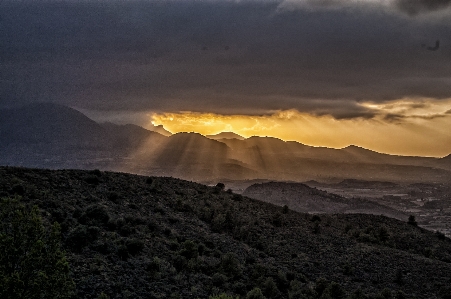 Foto Paisagem árvore horizonte região selvagem
