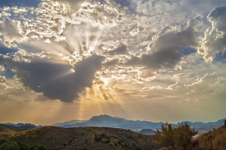 Paisaje árbol horizonte montaña