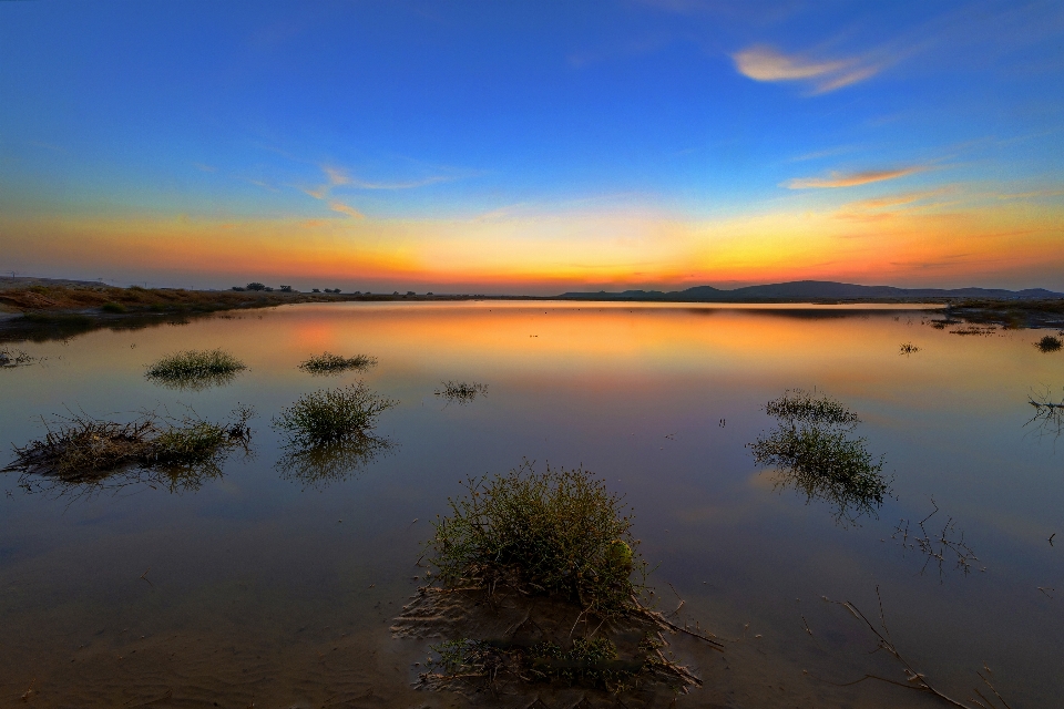 Paisagem água horizonte pântano
