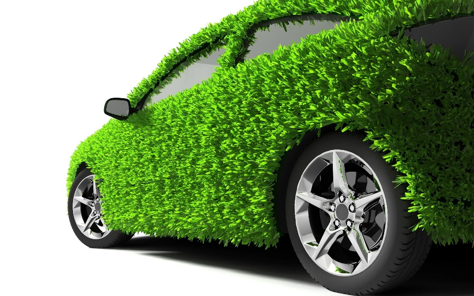 Ecologia auto veicolo a motore
 verde