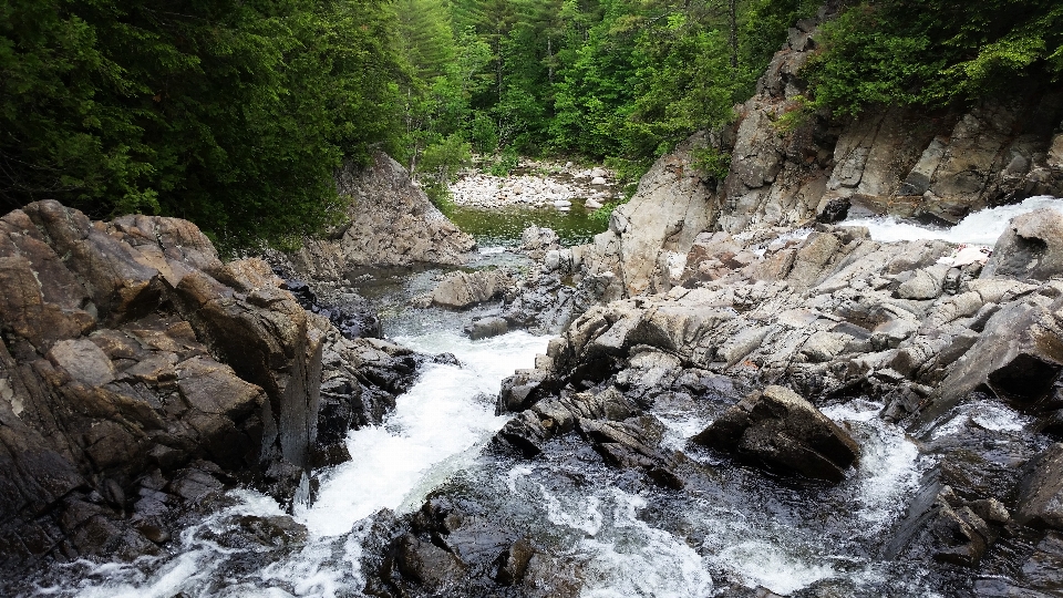 Landschaft baum wasser rock