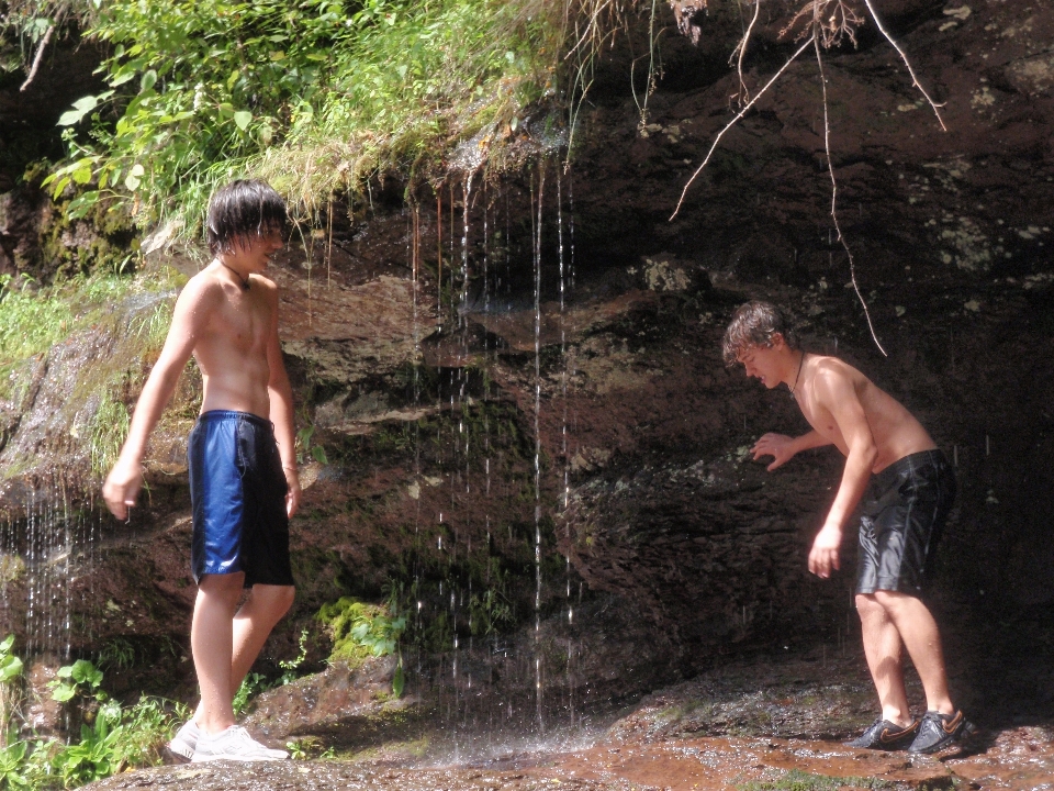 Wasser baden wald stream