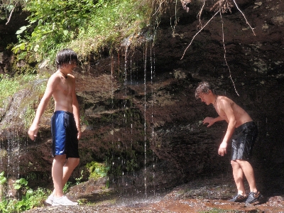 Water swimming woods stream Photo