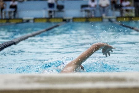 Water recreation swimming pool leisure Photo