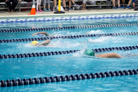 Water recreation swimming pool leisure Photo