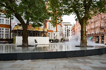 Baum wasser straße stadt Foto