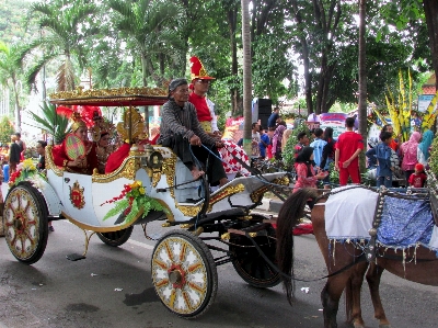 Foto Desfile cultural
 transporte veículo carruagem