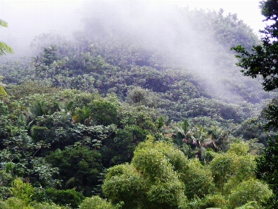 Puerto rico sky cloud mist Photo