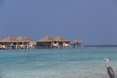 Sea lagoons coastal and oceanic landforms body of water Photo