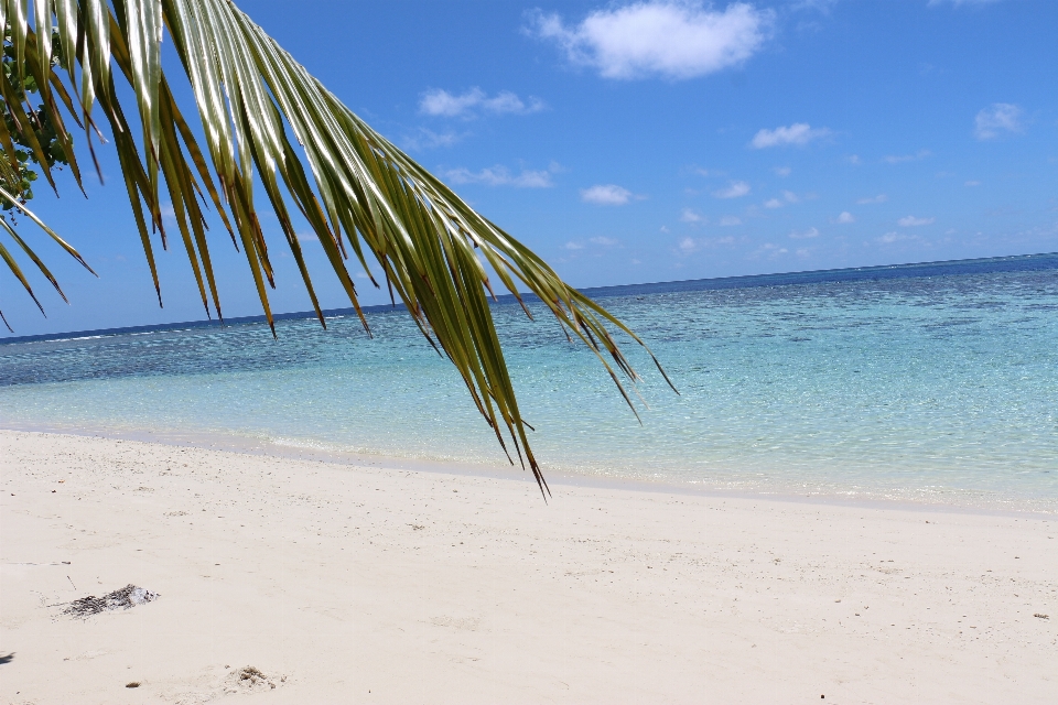 Mer océan soleil vacances