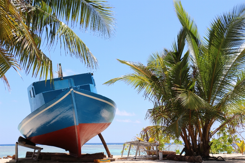 Bateau ciel bien-être jungle