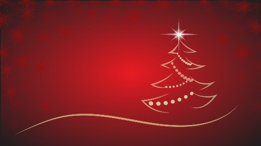 Christmas tree star background Photo