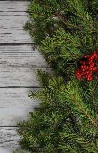 バックグラウンド 背景
 クリスマス 装飾 写真