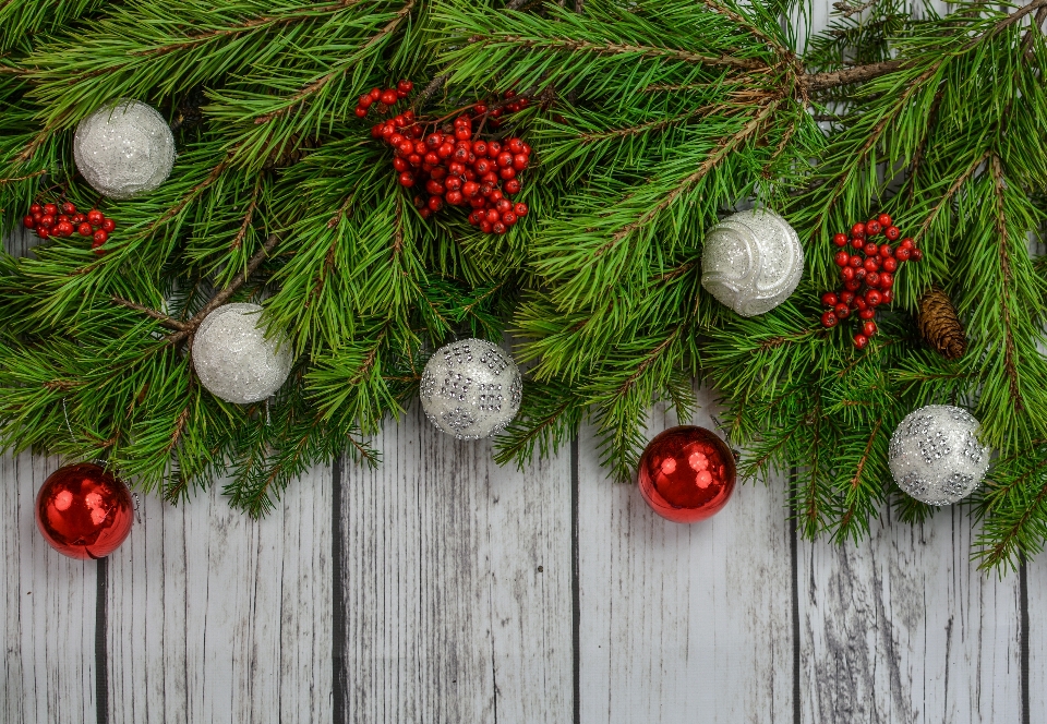 バックグラウンド 背景
 クリスマス 装飾