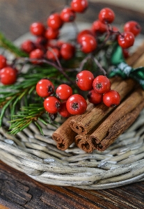 Decoration christmas cinnamon holiday Photo