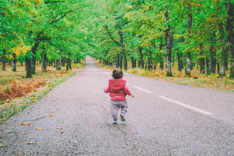 Asphalt autumn avenue baby