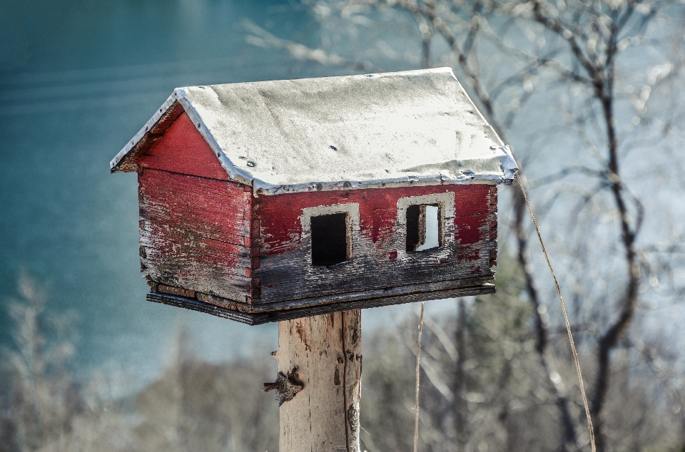 Alimentatore casa uccello foraggio