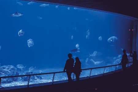 Foto Azul água aqua pessoas