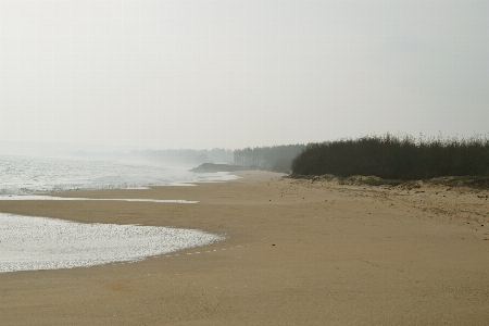 Beach india tamil nadu sea Photo