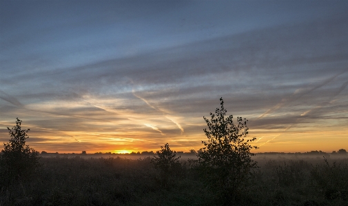 Sunrise sky dawn horizon Photo