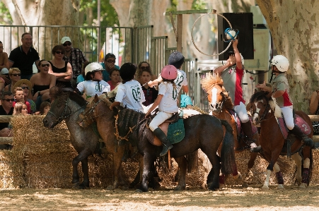 Horse ball children games sport Photo