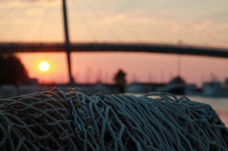 Sea bridge sunrise sun Photo