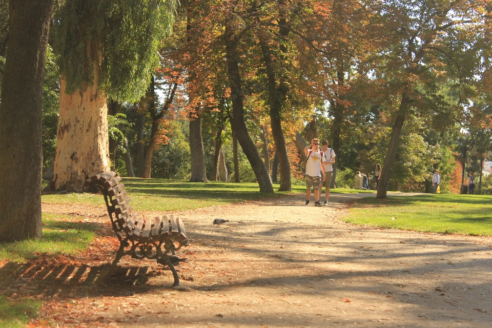 Bank park madrid spanien