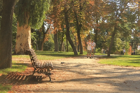 Photo Banc parc madrid espagne