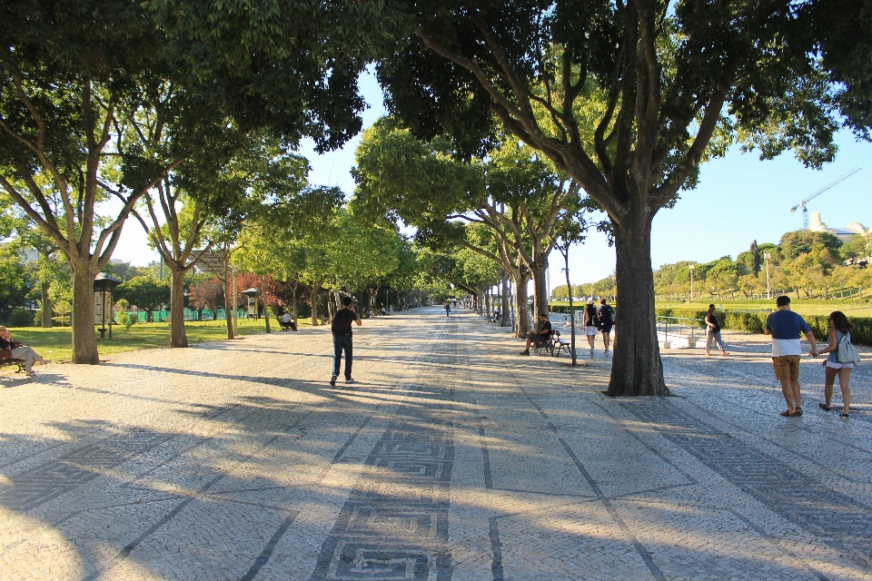 Madrid españa parque caminando