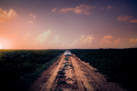 車 雲 田舎 作物 写真