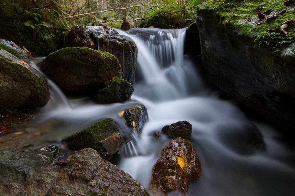 Stream musim gugur hutan air terjun