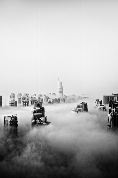 Céu preto e branco
 névoa fotografia monocromática
