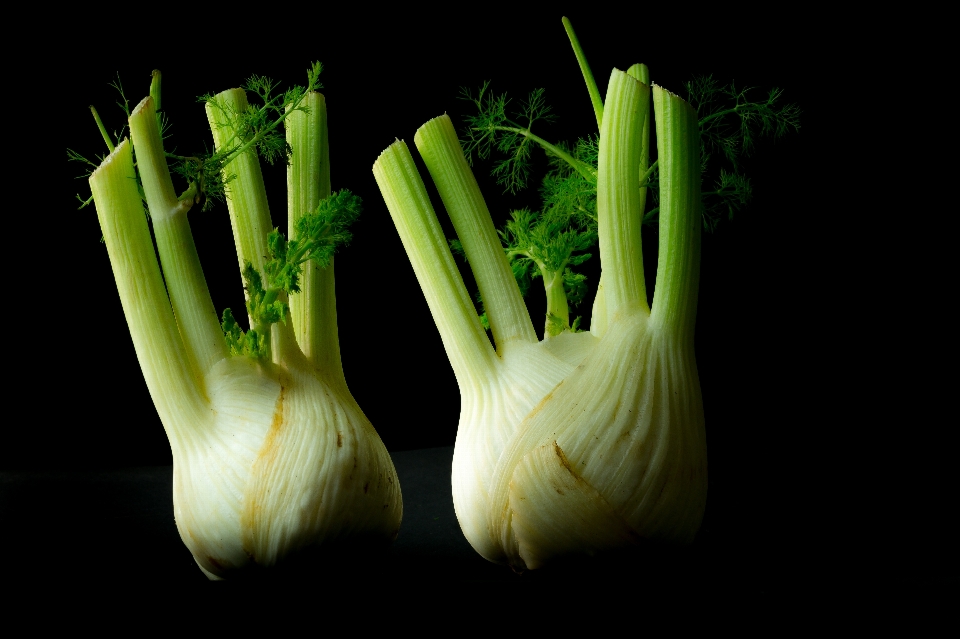 野菜 緑 ウイキョウ
 食べ物