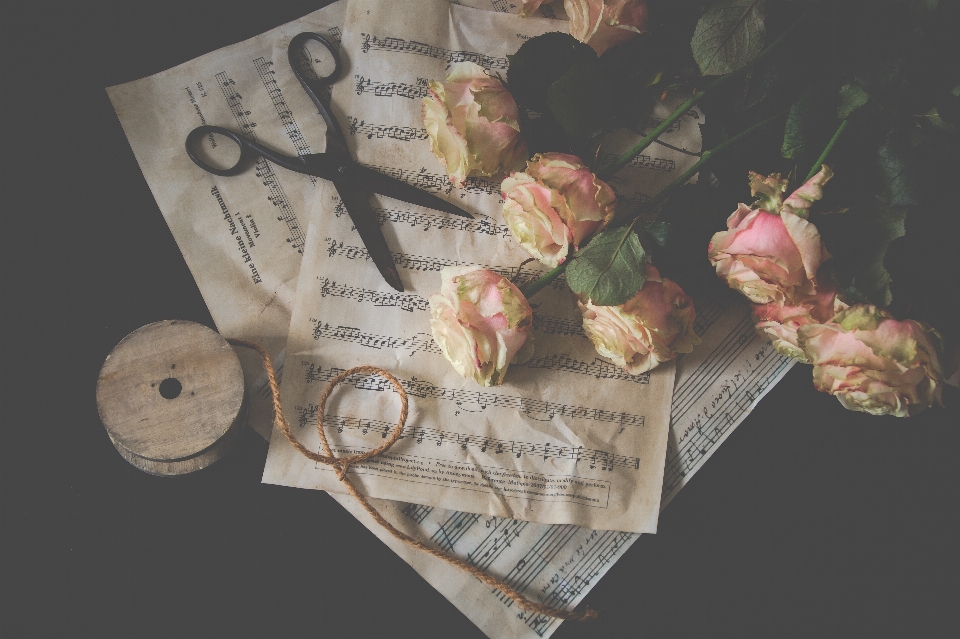 Pink roses scissors rope music notes