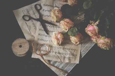 Pink roses scissors rope music notes Photo