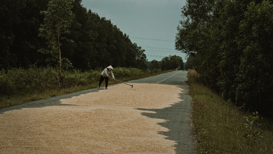 Landscape natural road path