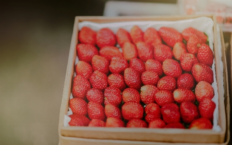 Berries blur close up delicious Photo