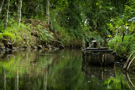 Old boat water green transportation Photo