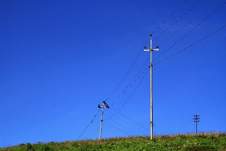 Electric post nature blue sky Photo